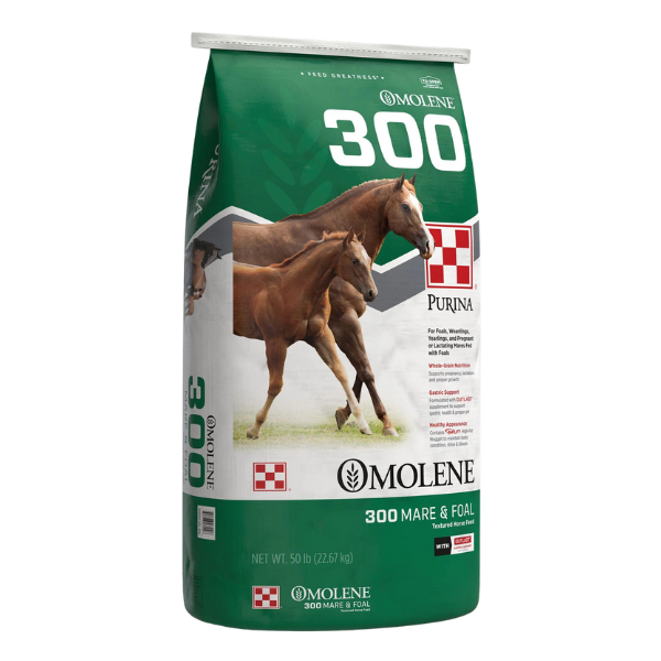 Omolene 300 Growth Horse Feed Mares and Foals Core Feed